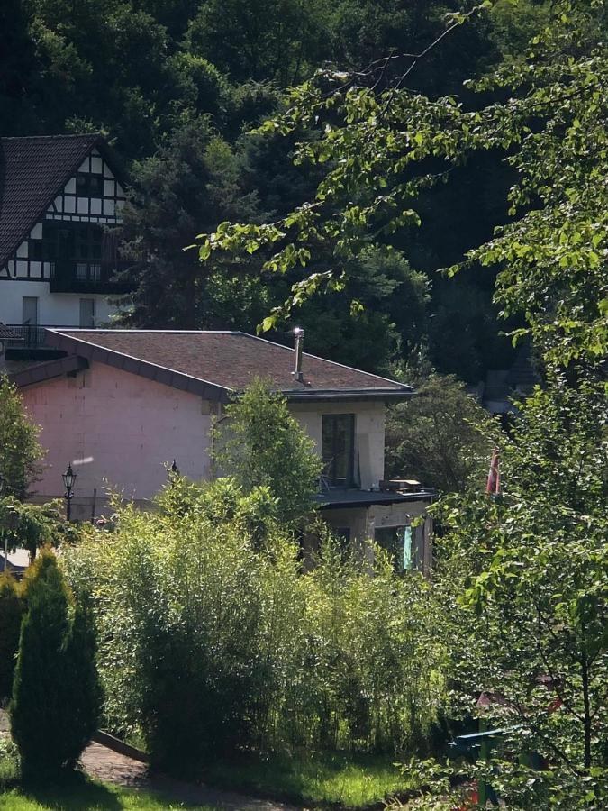 Ferienhaus Waldbaden Im Nationalpark Eifel- Am Bach Schleiden Exterior foto