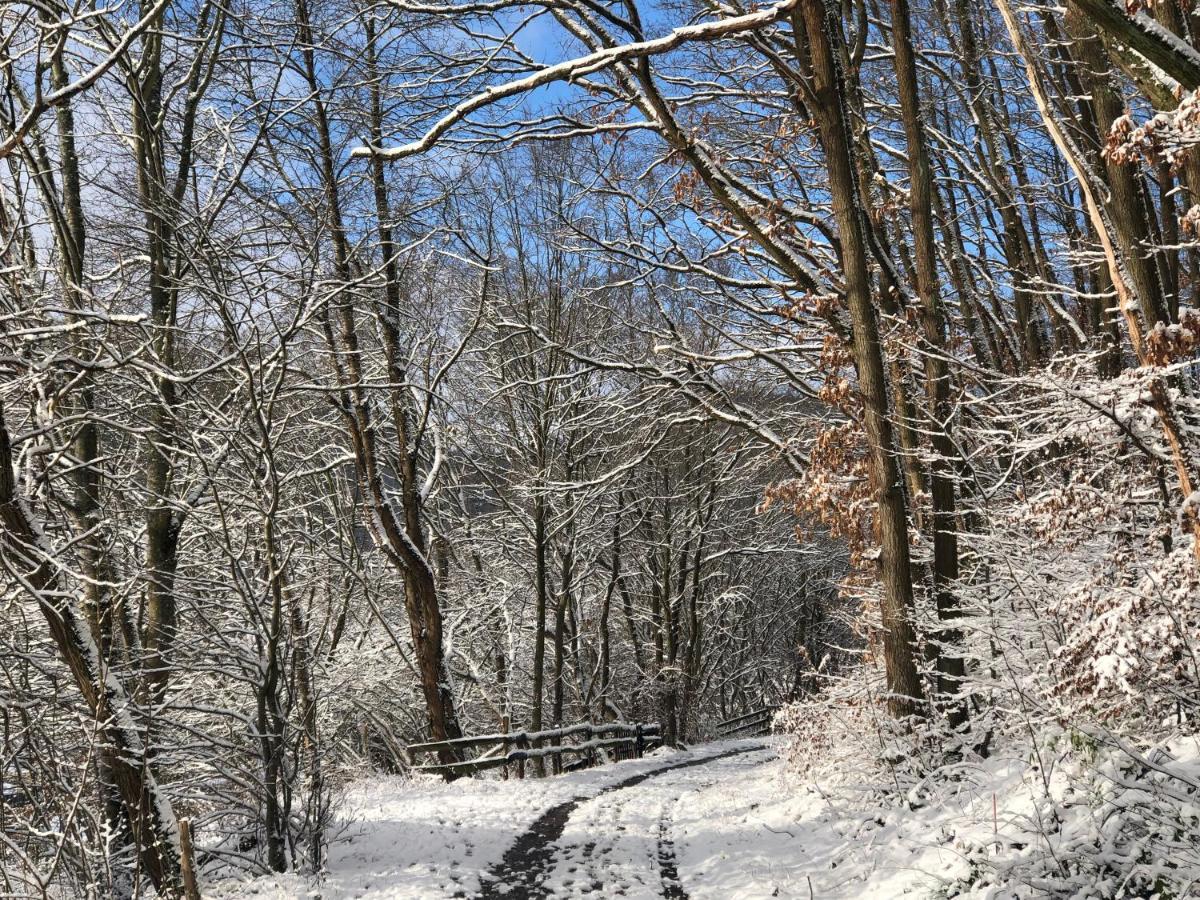 Ferienhaus Waldbaden Im Nationalpark Eifel- Am Bach Schleiden Exterior foto